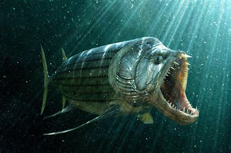 Top‭ ‬10‭ ‬Prehistoric fish (With Pictures).